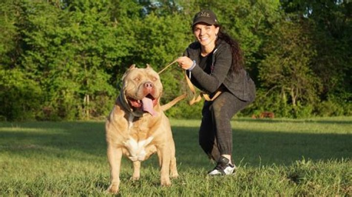 A Comprehensive Guide To This Remarkable Breed