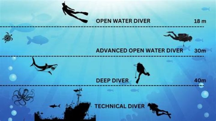 A Deeper Dive For Visionaries