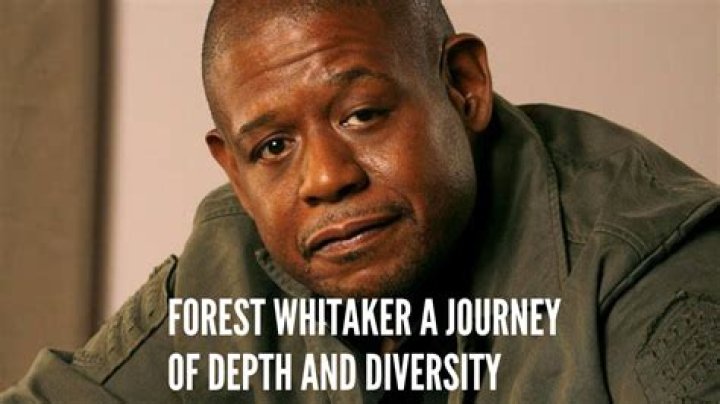 A Journey Of Depth And Diversity