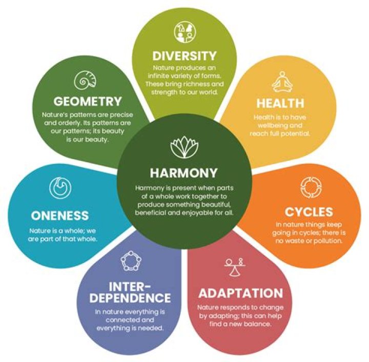 A Journey Of Harmony And Empowerment