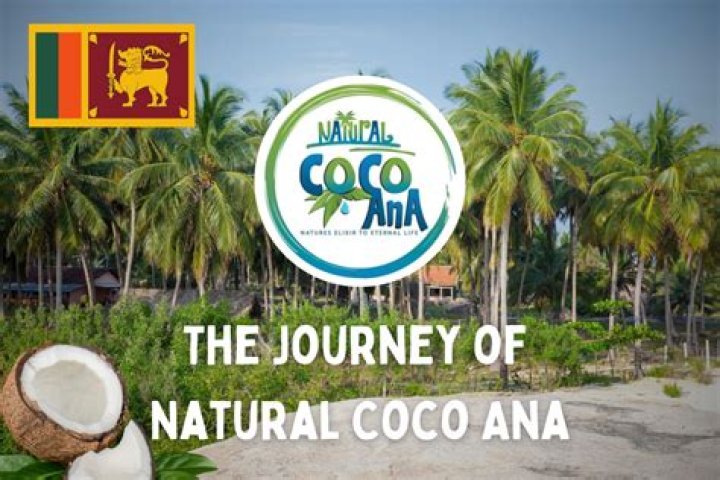 A Journey To Coconut Excellence