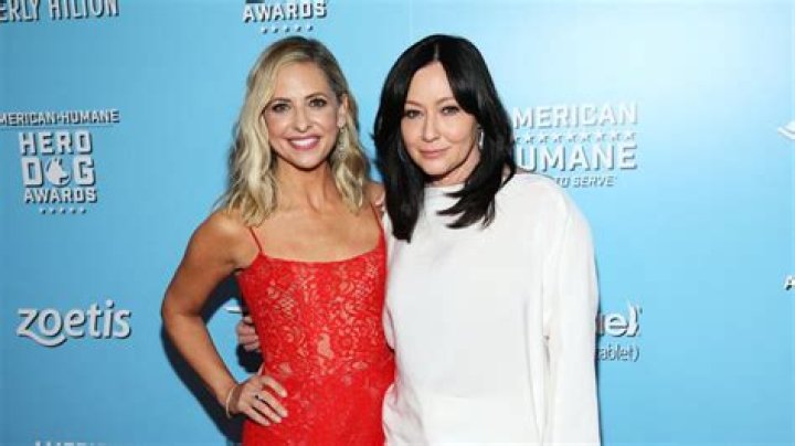 Unraveling Shannen Doherty's Love Story