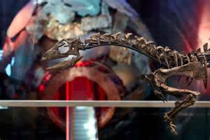 Unveiling Dylan Sprouse's Shirtless Enigma: Insights And Discoveries