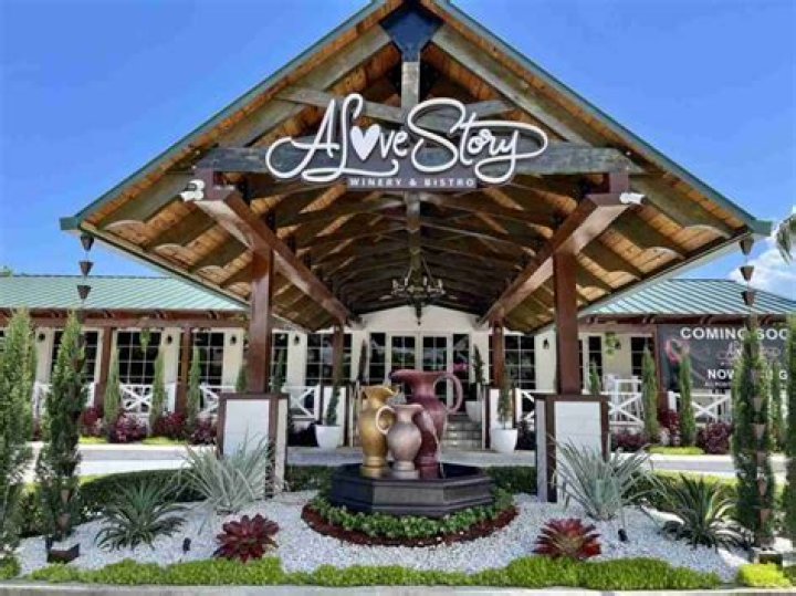 Unveiling The Visual Allure Of A Love Story Winery: Discoveries & Insights